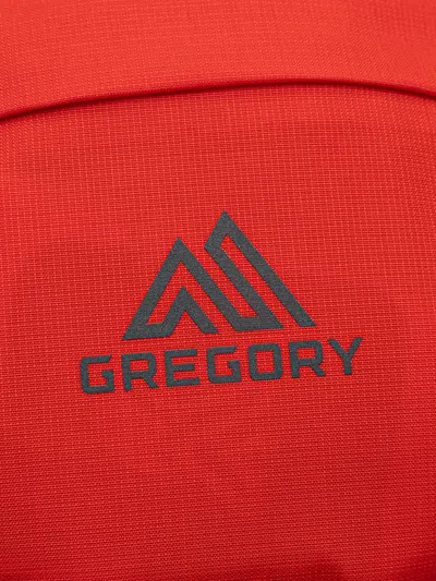 Gregory Kiro 24 Backpack In Red
