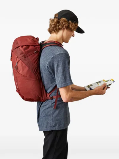 Gregory Arrio 24 Mesh-panel Backpack In Red