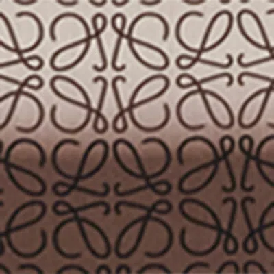 Loewe Wool And Cashmere Rectangular Scarf In Multi