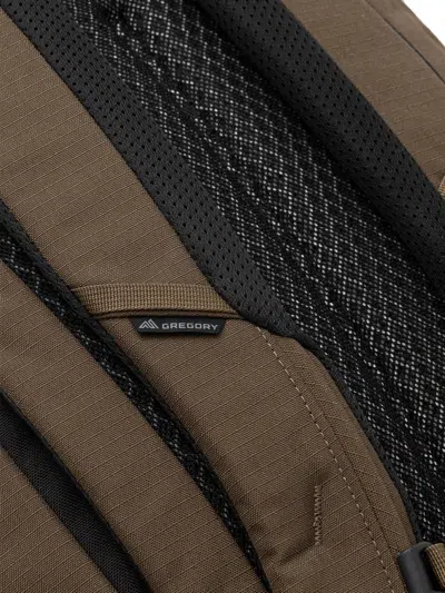 Gregory Border 30 Backpack In Brown