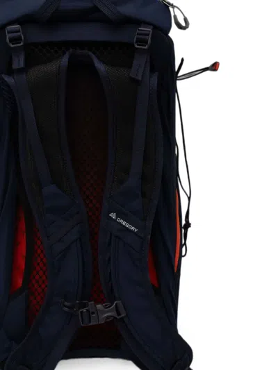 Gregory Arrio 18 Logo-print Backpack In Blue