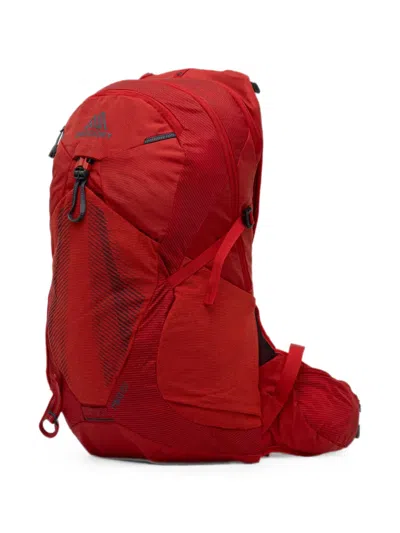 Gregory Miko 20 Backpack In Red