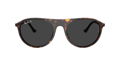 Ray Ban Ray