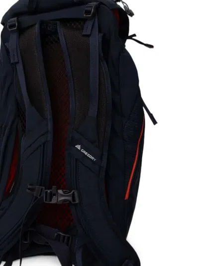 Gregory Arrio 24 Buckle-fastening Backpack In Blue