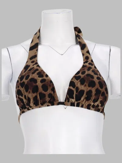 Dolce & Gabbana Leopard-print Triangle Bikini Top In Brown