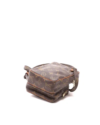 Louis Vuitton Monogram Amazon Bag In Brown