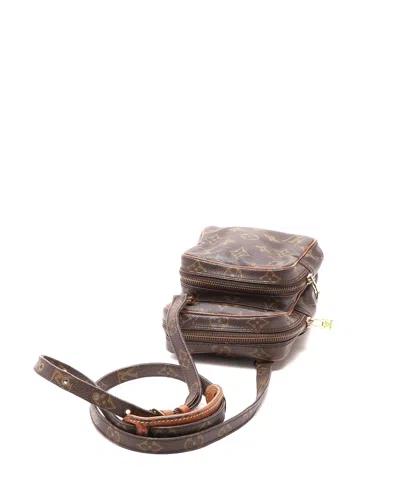 Louis Vuitton Monogram Amazon Bag In Brown