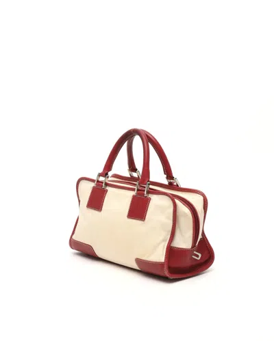 Loewe Amazona Bag In Multi