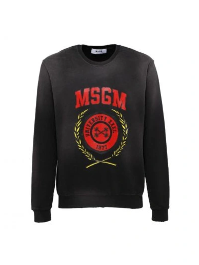 Shop Msgm University Sweatshirt In 99