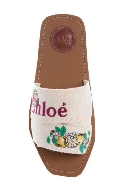 Chloé Mini Ribbons Embroidered Citrus Motif Sandals In White