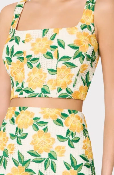 Milly Illy Mel Embroidered Sleeveless Top In Multi