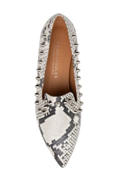 Beautiisoles Celeste Pointed Toe Loafer