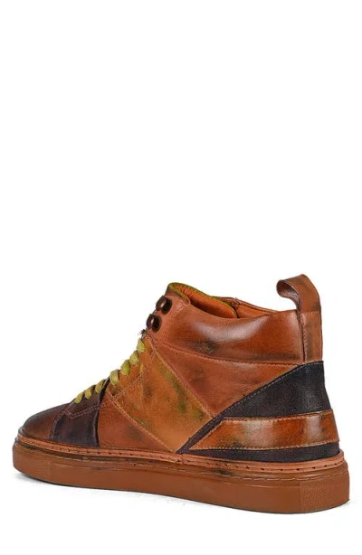 Roan Baranduin High Top Sneaker In Brown
