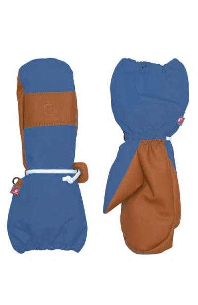 Northern Classics Waterproof Ski Mitten In Multi