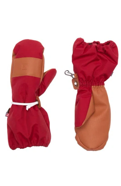 Northern Classics Waterproof Ski Mitten In Multi