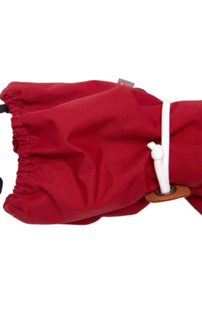 Northern Classics Waterproof Ski Mitten In Multi
