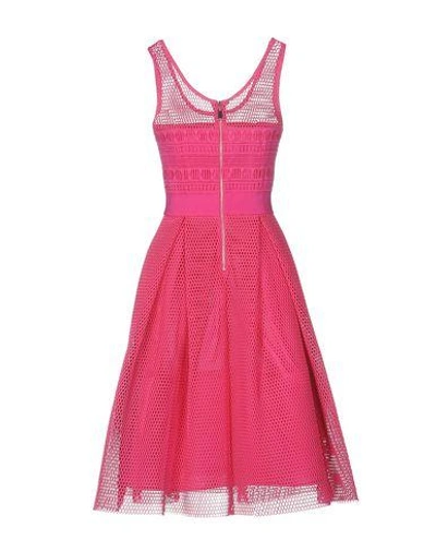 Shop Pinko Knee-length Dress In Fuchsia