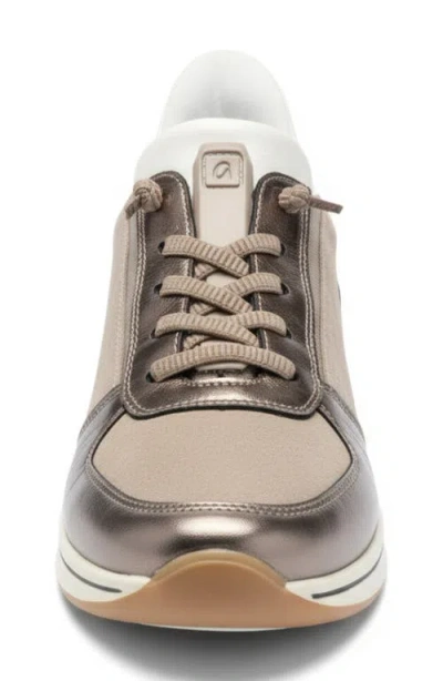 Ara Ovation Sneaker In Brown