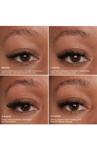 Anastasia Beverly Hills Brow Genius Serum In Brown