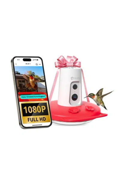 Birdfy Ruby Smart Hummingbird Feeder In Red