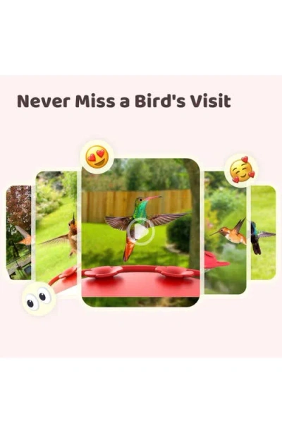 Birdfy Ruby Smart Hummingbird Feeder In Red