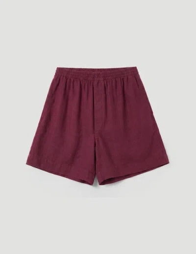 Hush Luce Linen Blend Pull On Shorts In Burgundy