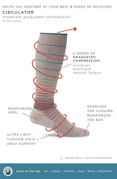 Sockwell Circulator Compression Socks In Brown