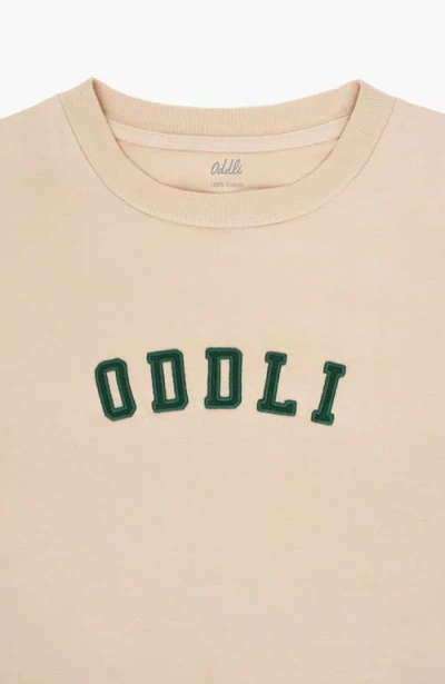 Oddli Unisex Tee In Multi