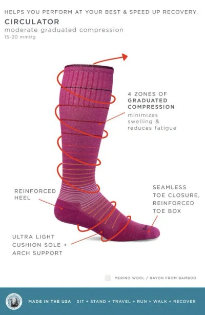 Sockwell Circulator Compression Socks In Pink