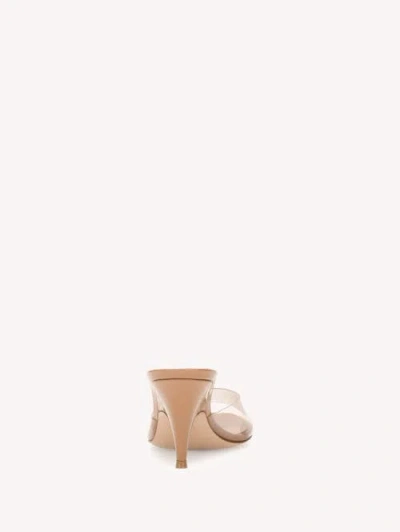 Gianvito Rossi Sofia Mule 70 Mules In Brown