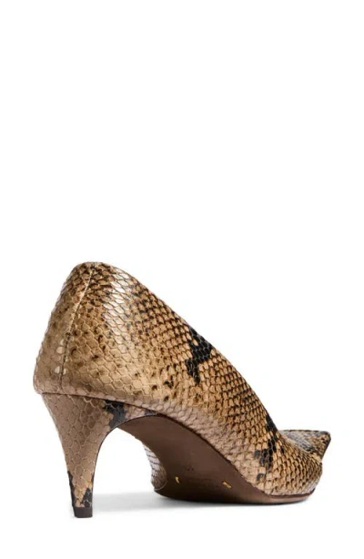 Khaite Marlene Snake-effect Leather Pumps In Brown