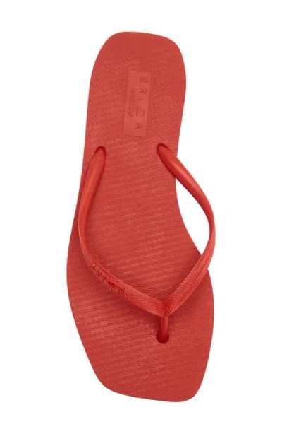 Brizza Flip Flop In Red