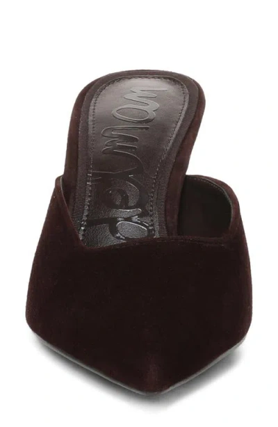Sam Edelman Margeaux Mule In Brown