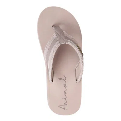 Animal Tidal Flip Flops In Multi