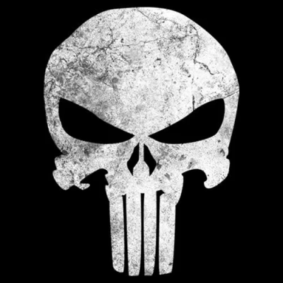 Marvel Punisher Distressed Skull Logo Graphic T-shirt In Multi