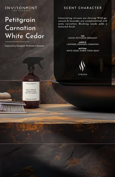 Environment Inspired By Designer Perfume Surface Cleaner In Multi