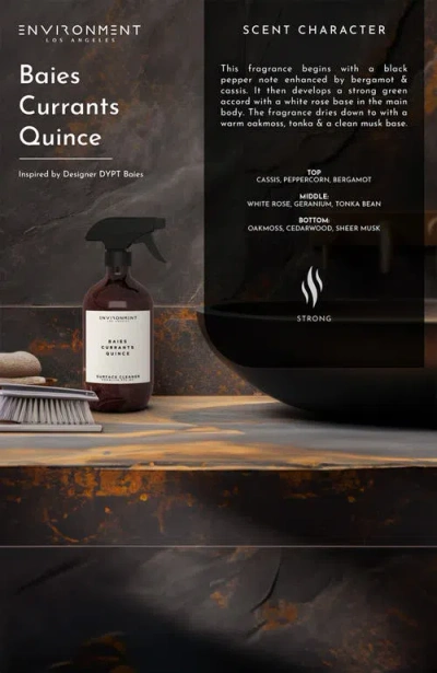 Environment Inspired By Designer Perfume Surface Cleaner In Multi