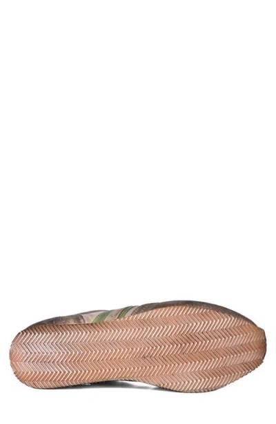 Roan Alatar Sneaker In Brown