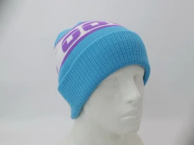 Oosc Après Beanie In Blue