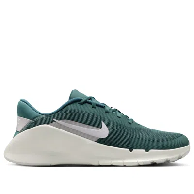 Nike Flex Train Athletic Training Shoe In Multi