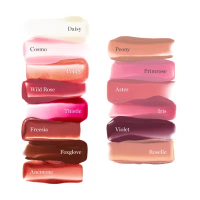 Ogee Beyond Clean Lip Gloss