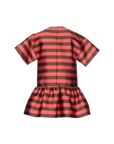 Shop Red Valentino Short Dress In Coral