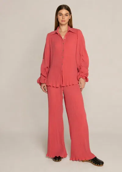 Baruni Ausha Pant Set. In Pink