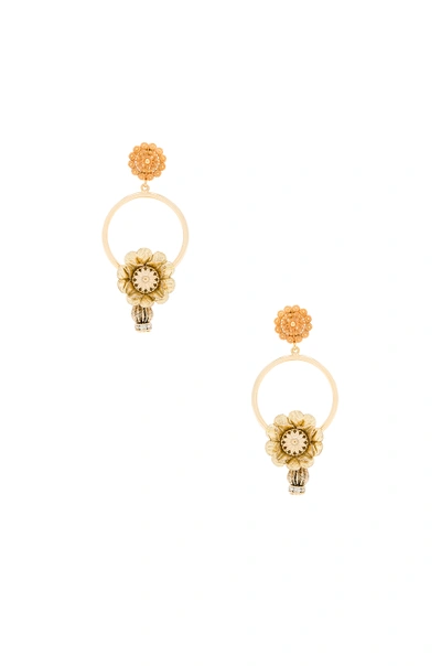 Shop Dolce & Gabbana Flower Hoop Earrings In Gold