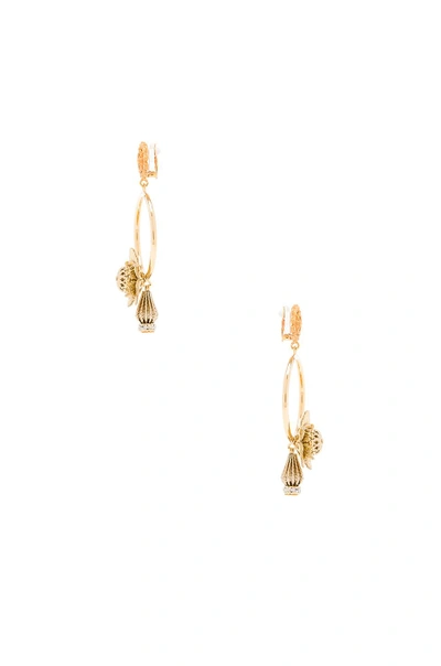 Shop Dolce & Gabbana Flower Hoop Earrings In Gold