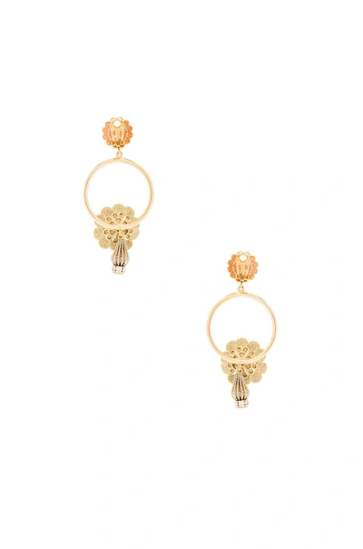 Shop Dolce & Gabbana Flower Hoop Earrings In Gold