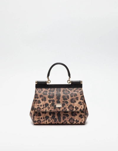 Shop Dolce & Gabbana Small Sicily Bag In Leopard Textured Leather