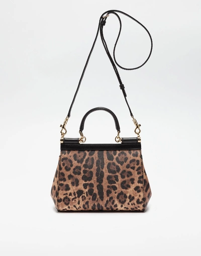 Shop Dolce & Gabbana Small Sicily Bag In Leopard Textured Leather