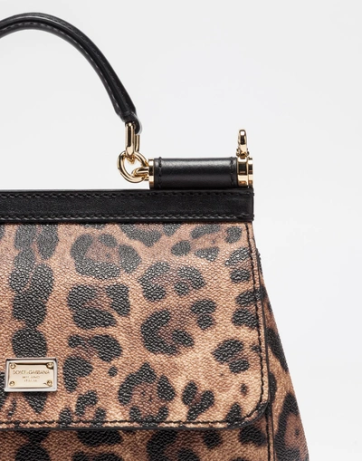 Shop Dolce & Gabbana Small Sicily Bag In Leopard Textured Leather