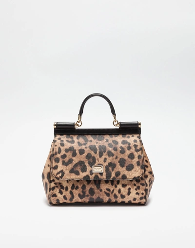 Shop Dolce & Gabbana Medium Sicily Handbag In Dauphine Leather In Leopard